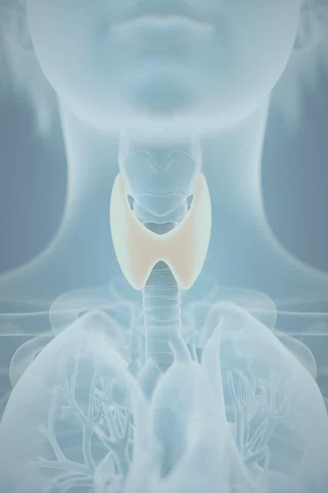 Thyroid Symptoms With Normal Labs